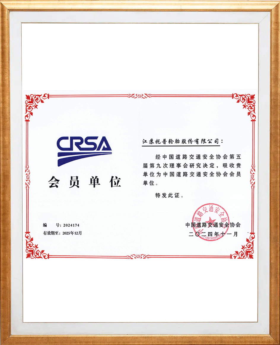 Miembro de la Asociación de Seguridad del Tráfico de la Carretera de China
